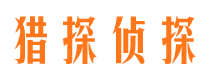 河东区侦探公司